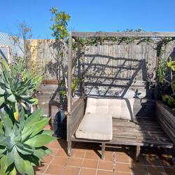 First chance to sit in the sun!