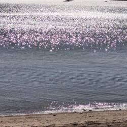 Wasserflugzeug an Starten