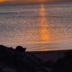 Sonnenuntergang.....
