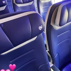 Airline wurde passend zum Valentinstag ausgesucht