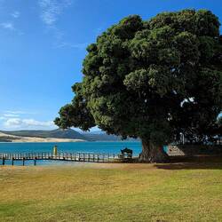 Ōmāpere (Hokianga Harbour)