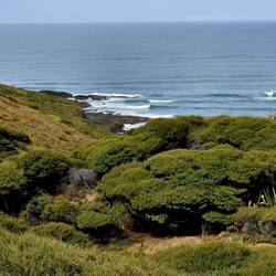 Signal Station Track