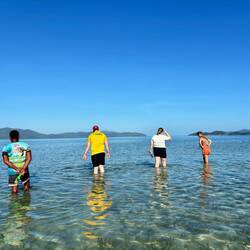 Auf der Suche nach Seesternen 🔍