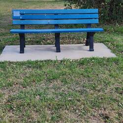 we have blue trees at home but here they have benches suicide prevention