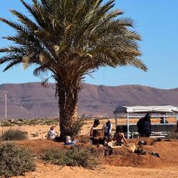 1x am Tag kommen Besucher mit einer kleinen Pritsche 👌