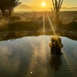 Früh morgens ist die heiße Quelle einfach am besten 🙂