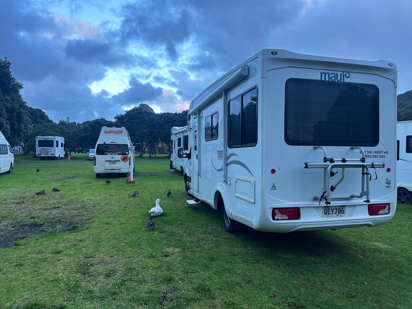 Das morgendliche Weckkommitee