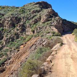 ...zurück zur Küstenstraße