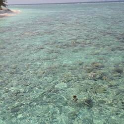 Das Schnorchelrevier mit superklarem Wasser