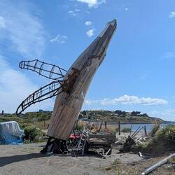 Whale art in progress