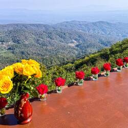 Der Kaffee am späten Morgen schmeckt in diesem hübsch geschmückten Cafe natürlich besonders gut