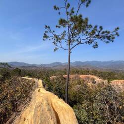 Der Pai Canyon - teils ausgesetzte und schmale Wanderwege auf hellsandigem Untergrund