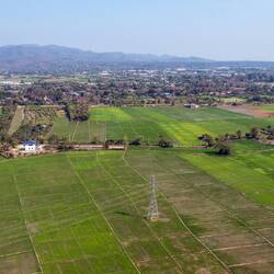 Reisfelder in der Ebene oberhalb von Chiang Mai