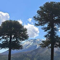 Das Bild gibt's auch im Reiseführer (das ist so ein altertümliches Dings aus Papier zum Blättern)