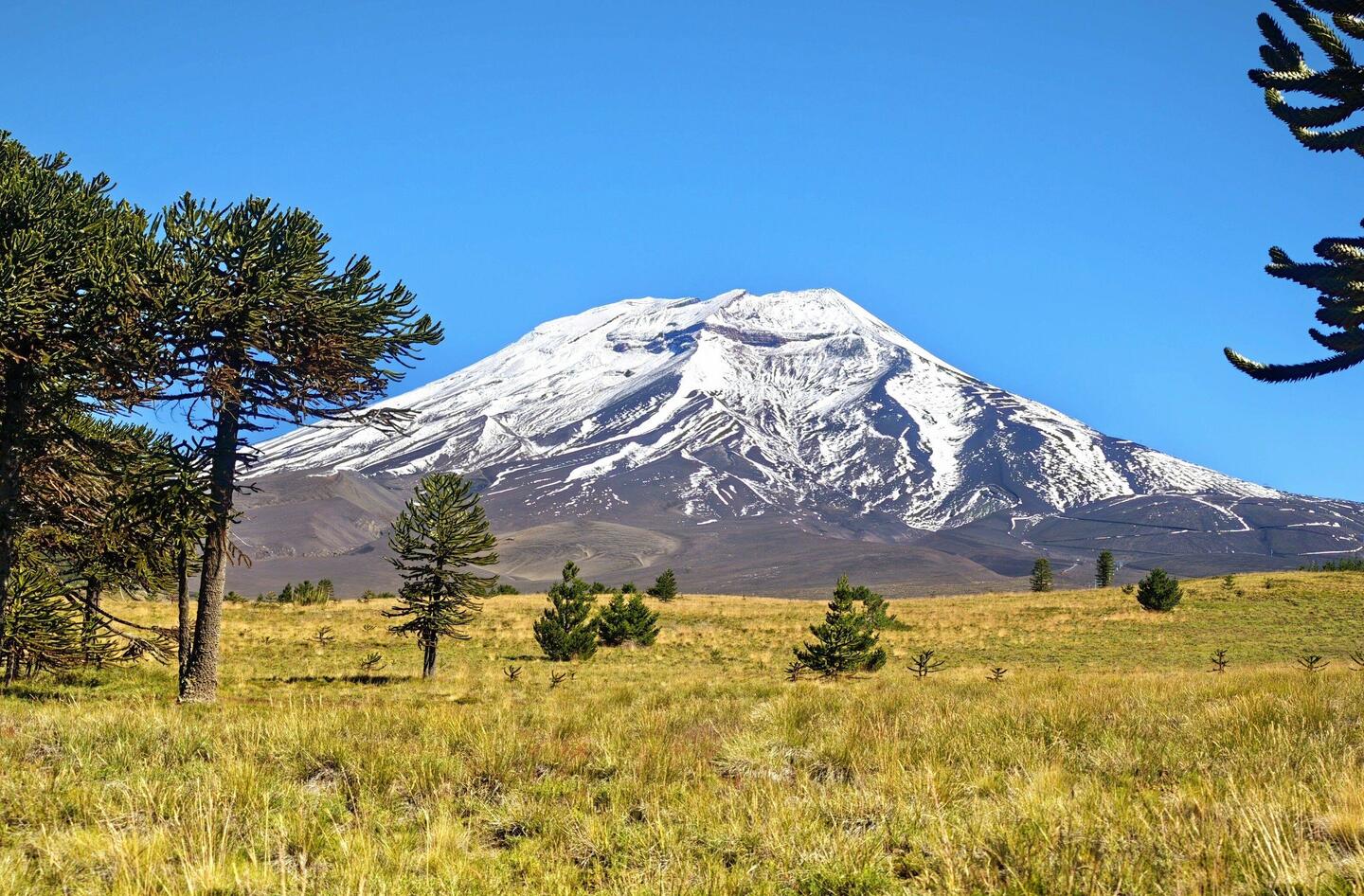 Der Vulkan Lonquimay mit reichlich 2800m Höhe