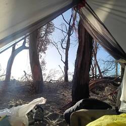 Morgenen efter stormen