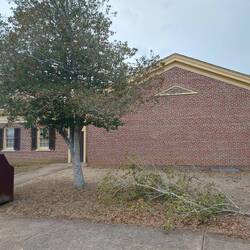 Morgen sehen wir noch viel größere Schäden an den Bäumen.