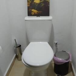 Das bewusste Bild im Klo...