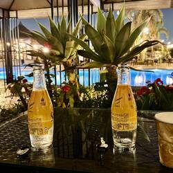 Statt draußen nur Kännchen hier: draußen nur Pappe