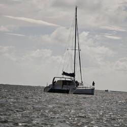 Der da soll es werden