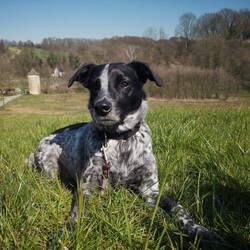 Mein geliebter Schatz und Retter von Mittelerde - FRODO❤️