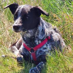 ...oder fokussiert...