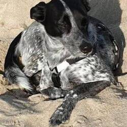 ...oder ein Sandbad.