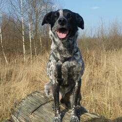 ...immer freundlich....