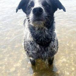 ... manchmal Badetag....