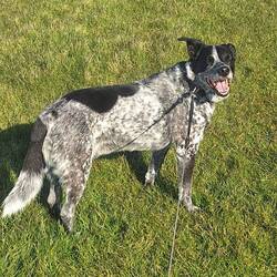 ... manchmal lachend...