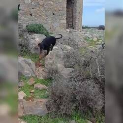 Erich verliert fast sein Handy auf dem Turm der Sturm🌬️lässt Grüßen🫢diesen Zwischenstopp lass ich aus