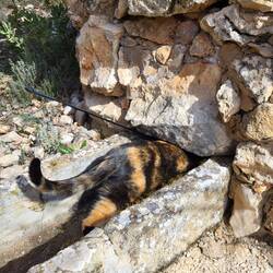 Hier ist nichts drin, Leni hat das überprüft.