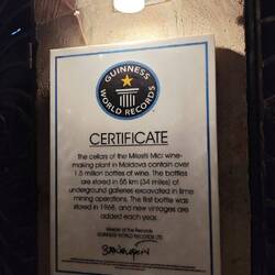 Auch im Guinness Buch der Rekorde