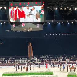 Auch China ist in einem Wettbewerb am Start und gewinnt Bronze