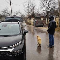Der Straßenhund ist den gesamten Spaziergang auf den Berg unser Begleiter gewesen.