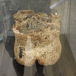 Container made from intestines