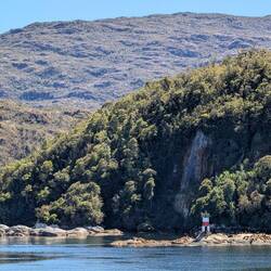 seal colony by the lighthouse