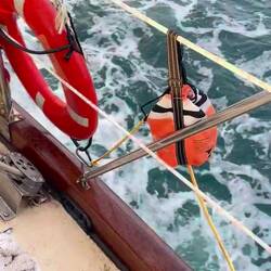 Flying Fish...19 counted