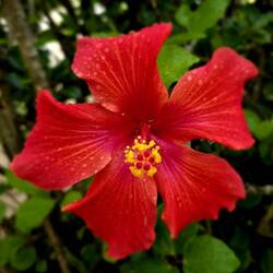 Russell museum grounds