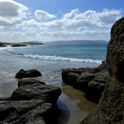 Tawharanui Regional Park
