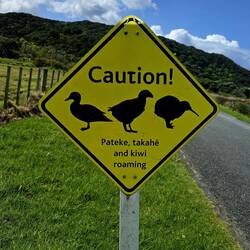 Tawharanui Regional Park