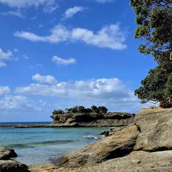 Tawharanui Regional Park