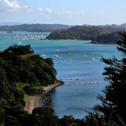 Mahurangi Park Lookout