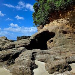 Anchor Bay - Tawharanui Regional Park