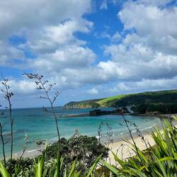 Anchor Bay - Tawharanui Regional Park