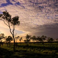 Sonnenuntergang im Outback