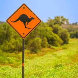 Die berühmten Schilder (Kängurus haben wir aber keine gesehen)