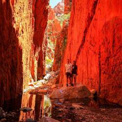 Noch schöner war es in Standley's Chasm, wo zum Mittag die Sonne die Wände in ein rote Glühen taucht