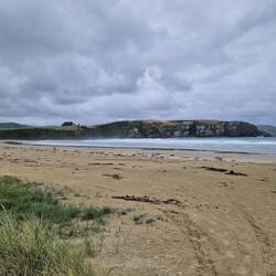 Jacks Bay