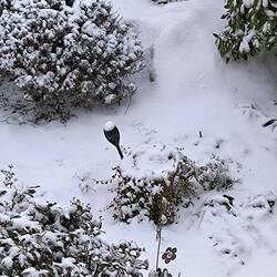 heute morgen 8.00 Uhr